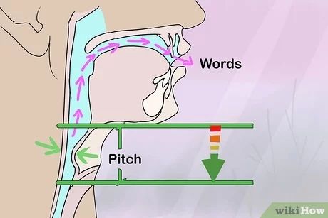 How to Develop a Manly Voice: 14 Steps (with Pictures) - wikiHow How To Get A Deeper Voice, Deeper Voice, Many People, Your Voice, The Voice, Quick Saves