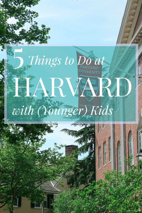 From one of the best museums for elementary school kids I've been to in a while to cool university vibe, here's why you should visit the Harvard campus in Cambridge. Boston With Kids, Boston Travel Guide, Luxury Family Travel, Boston Travel, Boston Hotels, Mom Travel, Things To Do At Home, Awesome Food, Family Vacation Destinations