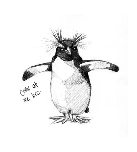 Penguin Nursery Ideas, Rockhopper Penguin, Penguin Tattoo, Penguin Illustration, Penguin Drawing, Fairy Drawings, Penguin Art, Paper Note, Small Art Prints