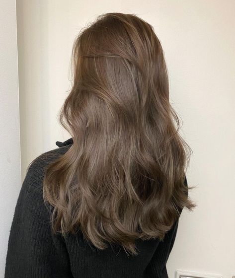 Cool Tone Brown Hair, Teddy Bear Hair, Cool Brown Hair, Fresh Cuts, Korean Hair Color, Brown Hair Looks, Brown Hair Inspo, Brown Hair Dye, Hair Color Light Brown