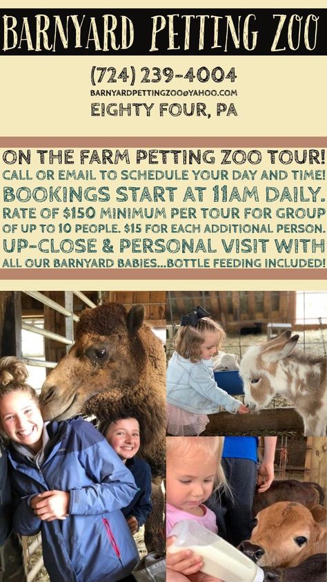 Small Zoo Ideas, Petting Zoo Business, Petting Zoo Ideas, Petting Zoo Farm, Petting Zoo Birthday, Petting Zoo Party, Farm Animals Activities, Zoo Ideas, Columbus Zoo