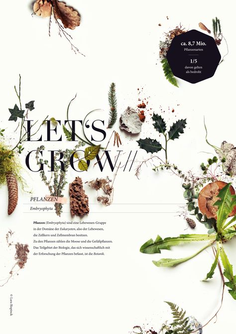 Posters Typography, Book Content, Typography Posters, Trendy Plants, Graphic Design Images, Graphisches Design, Plant Photography, Grafic Design, Botanical Poster