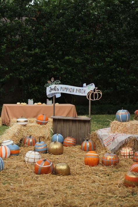 18 Pumpkin Decorating Party Ideas - Lady Celebrations Fall One Year Birthday Party Boy, First Harvest Birthday, Patch Birthday Party, Pumpkin Decorating Party, Pumpkin Patch Birthday Party, Pumpkin Patch Kids, Fall Displays, Pumpkin Patch Birthday, Fall 1st Birthdays