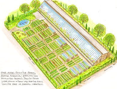 Grow enough food to feed your family on one acre Homestead Layout, Greenhouse Farming, Garden Layout Vegetable, Farm Plans, Farm Layout, Garden Plan, Wooden Greenhouses, Pergola Design, Food Production