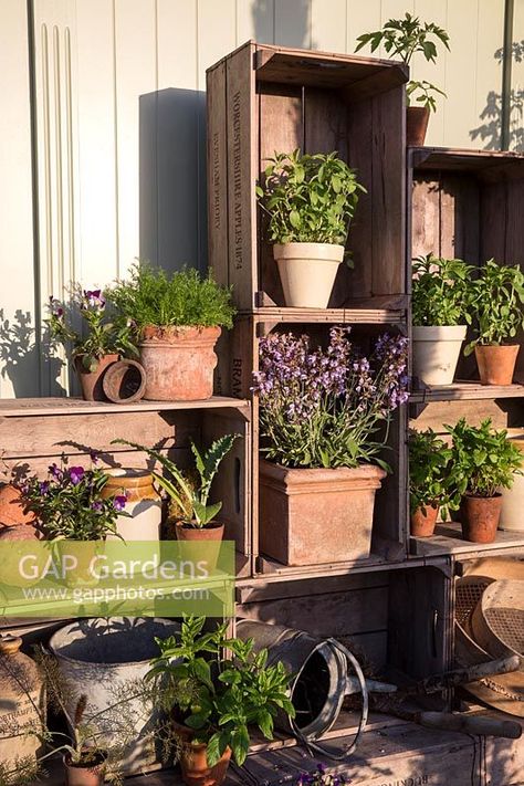 Displaying Pots In Garden, Wooden Crate Succulent Planter, Apple Crates Garden, Apple Crate Garden Ideas, Terracotta Pots Garden Display, Terracotta Herb Garden, Outdoor Upcycled Ideas, Terracotta Pot Display, Garden Pot Display Ideas