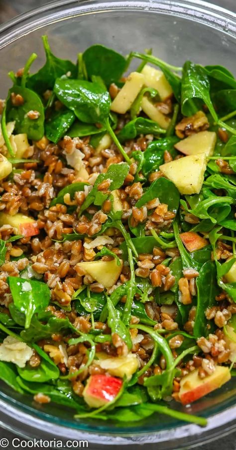 This Farro Salad with Apple and Arugula is full of crisp apples, tender greens, nutty Parmesan, and toasted nuts. The tangy dressing goes perfectly with the delicious grains. Farro Salads, Bluezone Recipes, Farro Salad Recipes, Farro Recipes, Mashed Potato Cakes, Salad With Balsamic Dressing, Grain Recipes, Salad Salad, Simple Vinaigrette