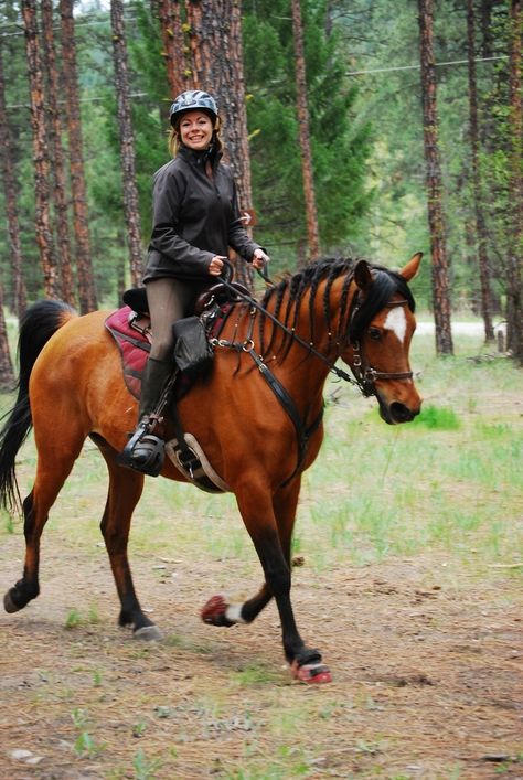 Horse Endurance Riding, Endurance Horse Riding, Endurance Horse, Endurance Riding, Horse Markings, Horse Collection, Horse Camp, Rock Creek, Beautiful Horse