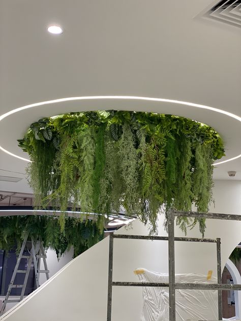 Green Ceiling Plants, Biophilic Ceiling Design, Plant Ceiling, Urban Furniture Design, Shoe Store Design, Flower Ceiling, Spa Lighting, Interior Design Videos, Bank Design