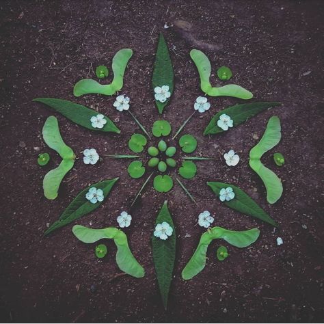 Hannah Bullen-Ryner Art on Instagram: “As the sun goes down ☀️💚🌿 #landart #landarts #landartist #earthart #earthartist #ethereal #ephemeral #mandala #naturemandala #artforthesoul…” Morning Altars, Circles In Nature, Fun Garden Projects, Mandala Nature, Nature Mandala, Geometry In Nature, Ephemeral Art, Art In The Park, Whimsical Furniture