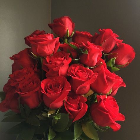 Flowers 🌺 on Twitter: "… " Rose Belle, No Rain, Rose Rouge, Luxury Flowers, Red Aesthetic, Love Flowers, My Flower, Beautiful Roses, Pretty Flowers