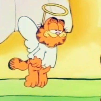 Garfield The Cat, Bad Cat, Garfield Cat, An Angel, Angel