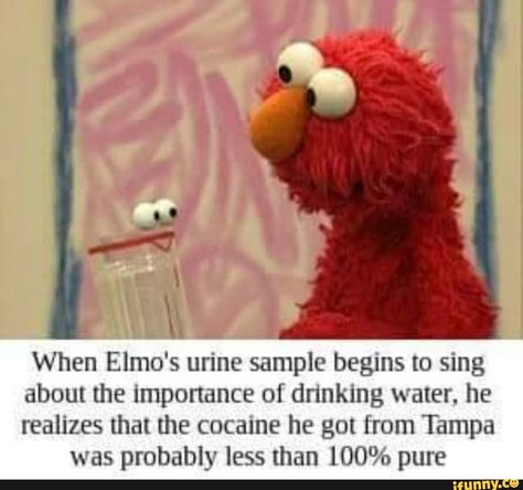 Elmo Memes, Sesame Street Memes, Sesame Street Muppets, Dark Jokes, Dark Memes, It Goes On, Twisted Humor, Funny Laugh, Bones Funny