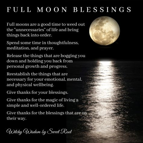 Full Moon Blessings Full Moon November 2023, Beaver Moon Meaning, Beaver Moon Ritual, Beaver Full Moon, Full Moon Blessings, Full Moon Meaning, November Full Moon, Beaver Moon, Full Moon Spells