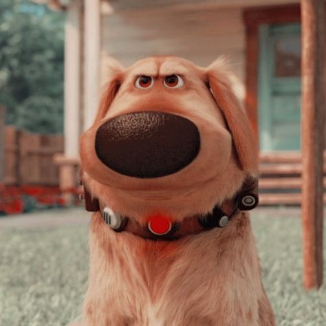 Dug The Dog, Disney Up House, Pixar Quotes, Up Pixar, Smiling Animals, Pixar Animation, Disney Icons, Disney Up, Dug Up