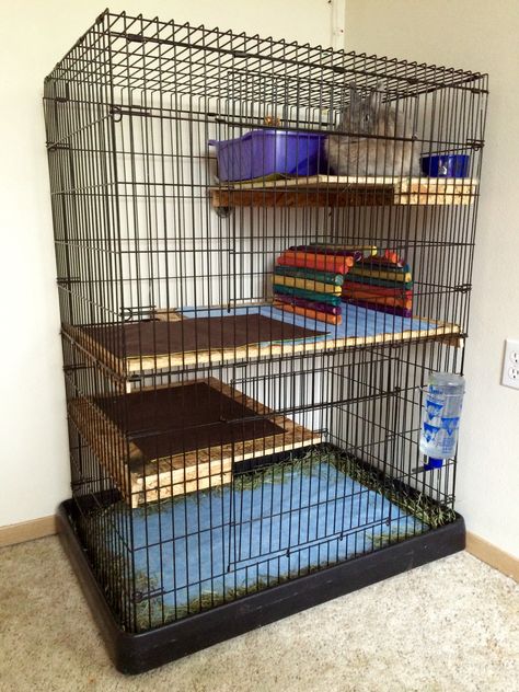 DIY Rabbit cage out of dog kennel Xl Dog Crate, Small Dog Cage, Bunny Pets, Indoor Rabbit House, Diy Rabbit Cage, Hutch Ideas, Small Dog Crate, Chinchilla Pet, Bunny Cage