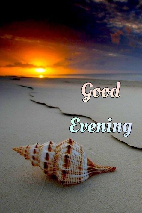 Evening Wishes Image, Good Evening Photos, Good Evening Images, Evening Images, Evening Wishes, Greetings For The Day, Good Morning Clips, Good Evening Messages, Good Evening Wishes