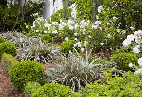 Garden Ideas Nz, Annual Flower Beds, Clay Soil Plants, Native Plant Landscape, Garden Ideas Cheap, Video Garden, Casa Exterior, Native Garden, Traditional Landscape