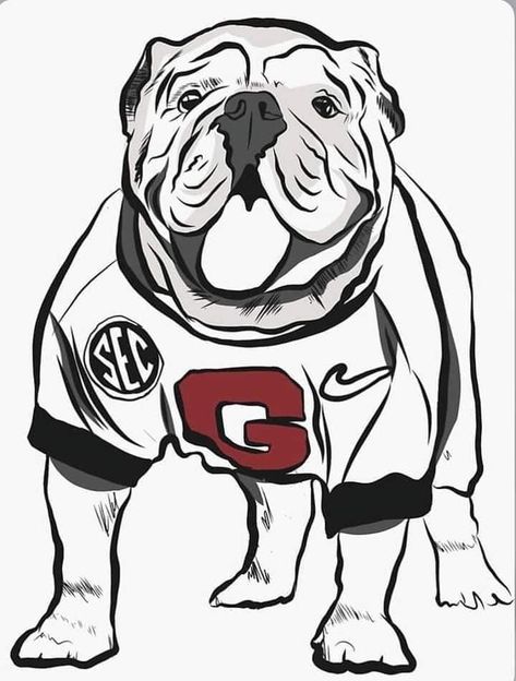 Georgia Bulldog Painting, Georgia Christmas, Bulldog Wallpaper, Bulldog Drawing, Ga Bulldogs, Leather And Denim, Georgia Bulldogs Football, Georgia Bulldog, Dog Football