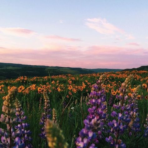 Pinterest | @xo_chlochlo Interesting Backgrounds, Farm Vacation, Whatsapp Wallpapers Hd, Dreamy Places, Pretty Views, Happy Pictures, Samos, Purple And Yellow, Nature Adventure