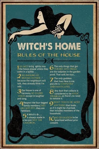 Green Witch House, Rules Of The House, Art Witchcraft, Home Rules, Witch Poster, House Poster, Witchcraft Spell Books, Magical Life, Witch Magic