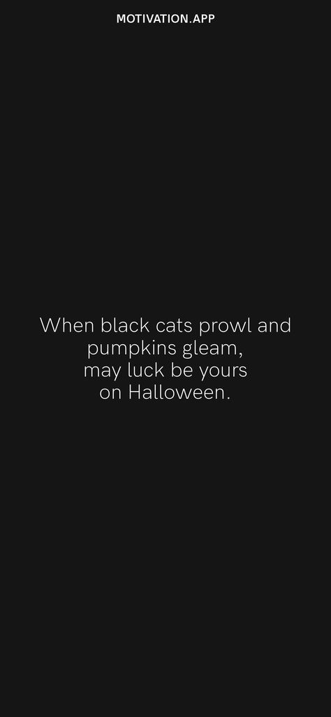 When black cats prowl and pumpkins gleam, may luck be yours on Halloween. From the Motivation app: https://motivation.app Black Cat Quotes Love, Quotes About Black, Black Cat Quotes, Black Cat Quotes Halloween, Black Cat Spiritual, Black Cat Fall Aesthetic, Black Cat Aesthetic Witch, Motivation App, Black Quotes