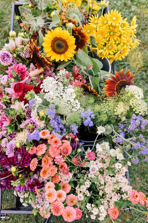 Farmer Aesthetic, Madewell Overalls, Prettiest Flowers, Flower Farms, Julia Berolzheimer, Flower Business, Flower Farmer, Cut Flower Garden, Spring Trip