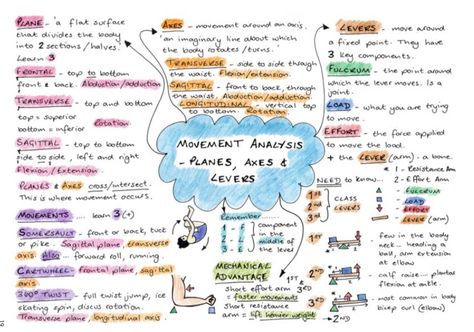 Gcse Pe, Physical Education, Inspirational Images, Axes, Teaching Ideas, Lesson Plans, The Conversation, Physics, Bullet Journal