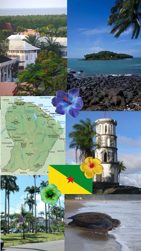 Guyana Aesthetic Wallpaper, Guyanese Culture, Guyana Map, Guyana Waterfall, French Guiana, South Korea, South America, Collage, Travel