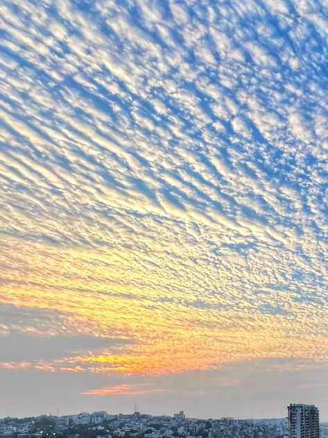 Nature's canvas painted with the colors of the rising sun and the patterns of the clouds. 🌅☁️  #Altocumulus #SkyArt" #Altocumulus #Cloudscape #SkyArt #SunsetClouds #NaturePhotography #SkyLovers #CloudPatterns #EveningSky #Skyline #BeautifulSky Hd Sky Backgrounds, Sky Background For Editing, Hd Sky, Nature Canvas Painting, Alphabet Letters Images, Bone Tattoo, Photoshop Backgrounds Backdrops, Beach Sunset Wallpaper, Bond Paper Design