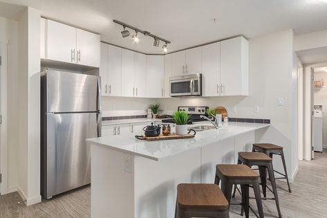 Calgary Apartments, Canada Apartment, 2 Bedroom Apartments, Calgary Canada, Furnished Apartment, Online Application, 2 Bedroom Apartment, Apartment Ideas, Rental Property