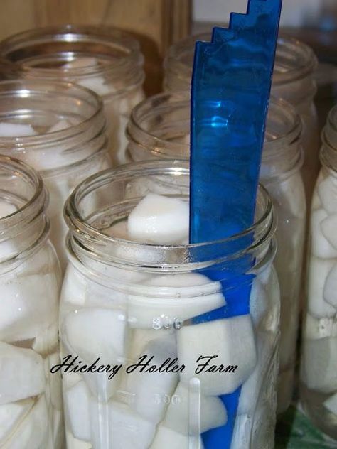 How To Can Turnips, How To Preserve Turnips, Canning Turnips, How To Cook Turnips, Root Vegetables Recipes, Turnip Recipes, Pickled Turnips, Preserving Recipes, Freezing Vegetables