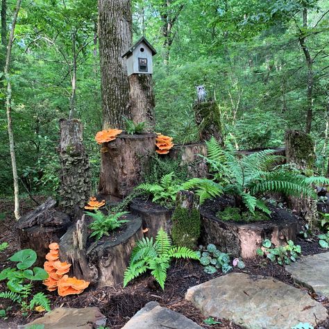 Fairy Cottages, Gardening Magazine, Fine Gardening Magazine, Shade Garden Design, Wooded Area, Ferns Garden, Wooded Landscaping, Companion Plants, Kitchen Wood