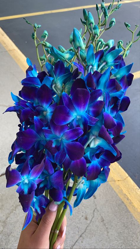 Blue Orchids Aesthetic, Blue Orchid Wedding Bouquet, Em Aesthetic, Blue Orchid Bouquet, Galaxy Orchid, Scrunchie Business, True Winter Palette, Blue Orchid Wedding, Blue Dendrobium Orchids