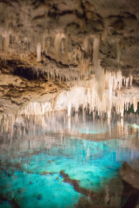 Bermuda Caves, Crystal Caves Bermuda, Dragon Script, Cave Spa, Bermuda Vacation, Crystal Forest, Bermuda Cruise, Crystal Caves, Bermuda Travel