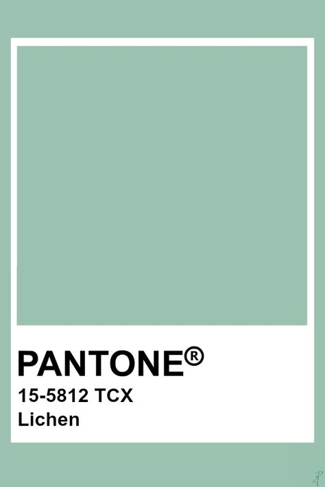 Pantone Lichen Seafoam Green Pantone, Lichen Color Palette, Pantone Background, Pantone Tcx, Pantone Green, Color Of The Year 2022, Pantone Swatches, Pantone Palette, Color Pantone