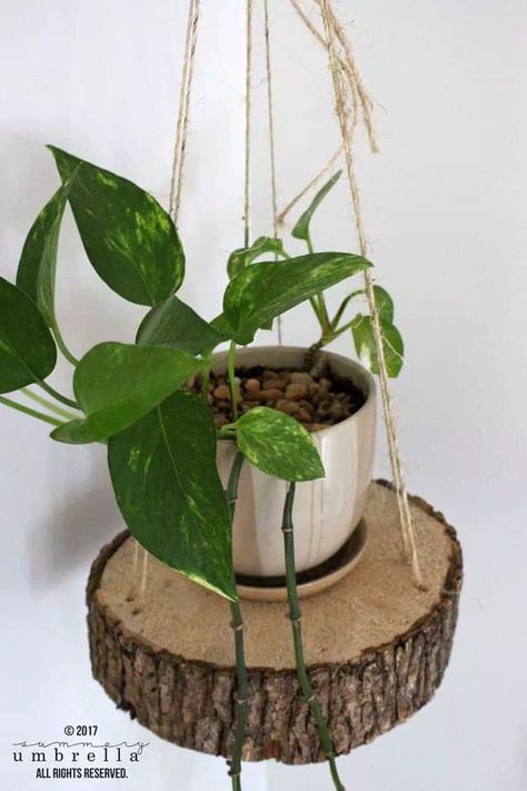 32 Free DIY Plant Hangers You Can Make Diy Wood Shelves, Diy Hanging Planter, Diy Macrame Plant Hanger, Hanging Plants Indoor, Hanger Diy, Deco Nature, Diy Plant Hanger, Best Indoor Plants, Plant Decor Indoor