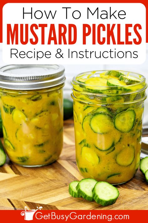 Homemade Mustard Pickles Recipe, How To Make Mustard Pickles, Canning Mustard Pickles, What Can You Pickle, Easy Mustard Pickles Recipe, Best Canned Pickle Recipe, Beer Pickles Recipe, Cucumber Recipes For Canning, Sweet Mustard Pickles