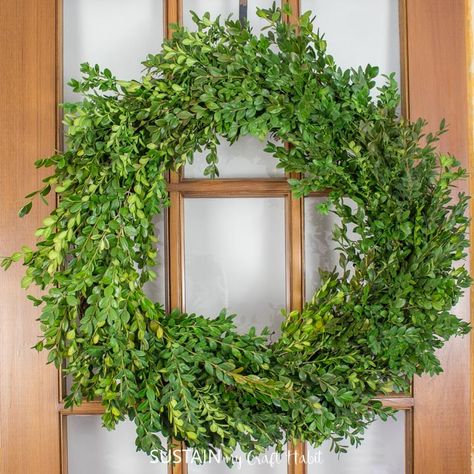 Gather some fresh boxwood clippings to make this simple and green boxwood wreath. Wreaths On Windows Indoors, Wreaths On Windows, Boxwood Wreath Front Door, Boxwood Bush, Driftwood Wreath, Pine Cone Christmas Tree, Window Wreath, Seashell Wreath, Wire Wreath Forms