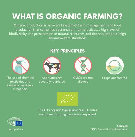 Discover what organic farming is in the EU Pamphlet On Organic Farming, Organic Farming Poster, Personal Effectiveness, Organic Food Market, Diversity Poster, Inspiring Posters, Earth Drawings, Conscious Consumption, Organic Market