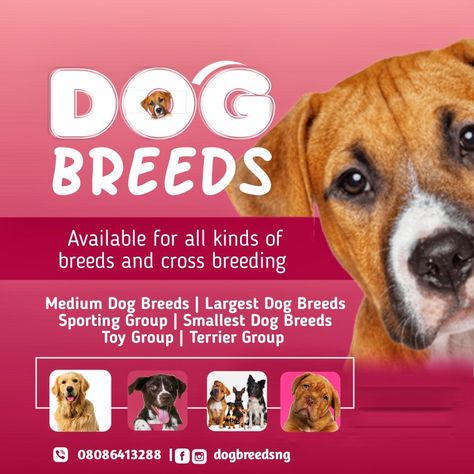 Sales Flyer Design, Sales Flyer, Dog Breeds Medium, Dogs For Sale, Sale Flyer, Large Dog Breeds, Small Dog Breeds, Medium Dogs, Large Dogs