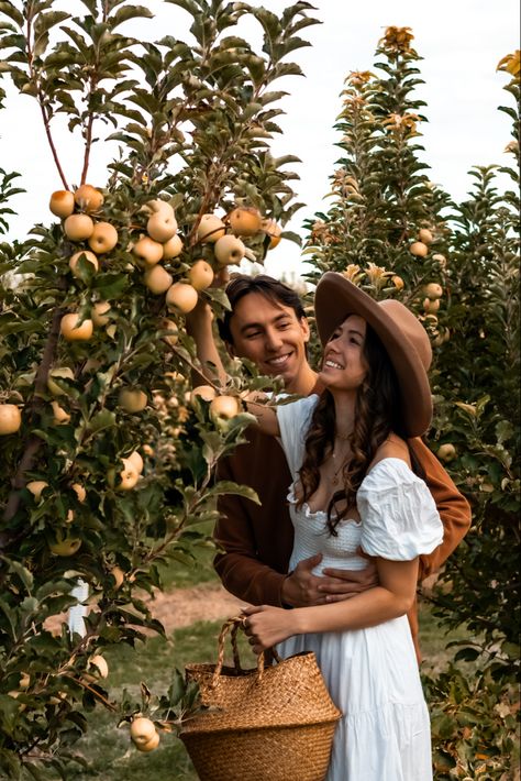 Apple Picking Outfit Couple, Orchard Photoshoot Couples, Peach Picking Photoshoot, Peach Orchard Photoshoot, Apple Orchard Couples Photoshoot, Apple Picking Engagement Photos, Couple Apple Picking Pictures, Apple Orchard Photoshoot Couple, Apple Picking Photoshoot Couple