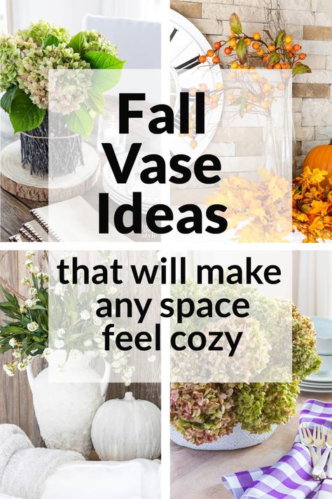 Fall vase decor ideas along with vase filler ideas for the autumn season. These 16 vase decorating ideas are simple and can be made with items you may already have in your home making them very budget-friendly. Fall Vase Decor, Fall Vase Filler Ideas, Glass Vase Filler Ideas, Jar Filler Ideas, Fall Vases, Fall Vase Filler, Decorating Vases, Vase Decorating Ideas, Fall Vase