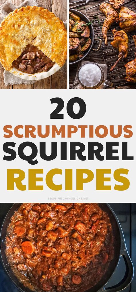 Looking for a unique recipe to try? Check out these 20 delicious squirrel recipes that will have your taste buds jumping for joy. From main courses to desserts, there's something for everyone. So get ready to enjoy some amazing food with this list of incredible recipes. Squirrel Soup Recipes, Squirrel Meat Recipes, How To Cook Squirrel, Squirrel Recipes Easy, Squirrel Recipe, Squirrel Stew, Squirrel Recipes, Wilderness Cooking, Hunting Food