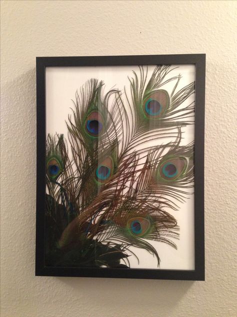 I just made this for my bathroom. Easy to do! A bunch of peacock feathers in a frame. I love it!!! Peacock Feather Wall Decor, Peacock Bathroom, Peacock Feather Decor, Peacock Room, Cute Picture Frames, Peacock Crafts, Diy Luminaire, Feather Wall Decor, Wall Decor Diy