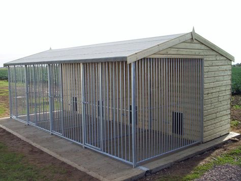 Dog Kennel Blueprints Plans - Bing Images Dog Enclosures, Portable Dog Kennels, Kennel Ideas Outdoor, Building A Dog Kennel, Cheap Dog Kennels, Pallet Dog House, Dog Boarding Kennels, Insulated Dog House, Dog Kennel Designs