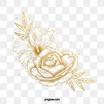 flowers and plants,golden,line,plant,flower,rose,green plant,decorative flower,flower clipart,rose clipart,hand clipart,drawn clipart,line clipart,plant clipart,golden clipart,vintage,flower line drawing,golden glitter Flower Line Drawing, Plant Clipart, Line Clipart, Line Png, Golden Line, Hand Clipart, Flower Line Drawings, Rose Clipart, Clipart Vintage