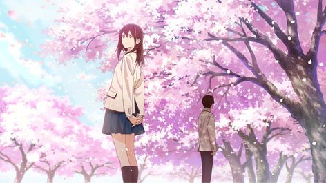 Kimi no Suizou Wo Tabetai Sakura Yamauchi, Anime Dubbed, Tamako Love Story, Anime Release, 1 September, Shiga, Fukushima, I Want To Eat, Japanese Animation