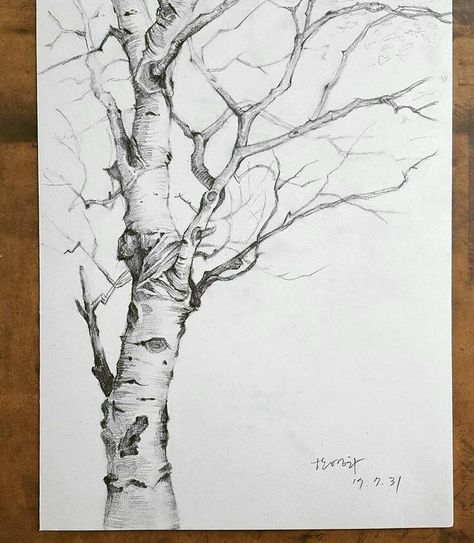 Tree Pencil Sketch, 자작나무 그림, Landscape Pencil Drawings, Tree Drawings Pencil, Drawing Eyes, Tree Sketches, Landscape Sketch, Drawing Faces, 수채화 그림