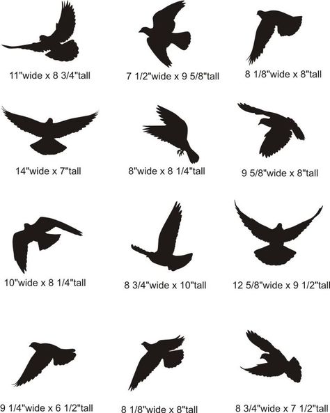 Bird Silhouette Tattoos, Small Bird Tattoos, Bird Tattoo Men, Silhouette Tattoo, Vogel Silhouette, Bird Tattoo Meaning, Vogel Tattoo, Flying Bird Tattoo, Flying Tattoo