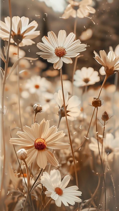 Nature Background Wallpaper, Iphone Flower Wallpaper Aesthetic, Flower Pics Aesthetic, Vintage Images Aesthetic, Flower Wallpaper Horizontal, Light Spring Aesthetic, Flowers Brown Aesthetic, Aesthetic Pictures Of Flowers, Natural Flowers Images